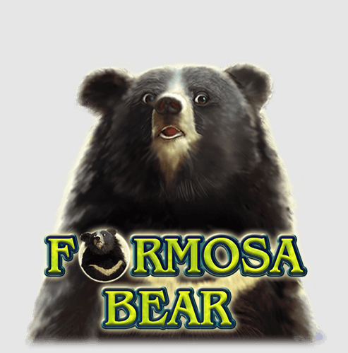 Formosa Bear, Apostadores Online, Jogos Online, Cassinos, Dicas, Plataformas, Odds, Cotas, Bankroll, Bônus